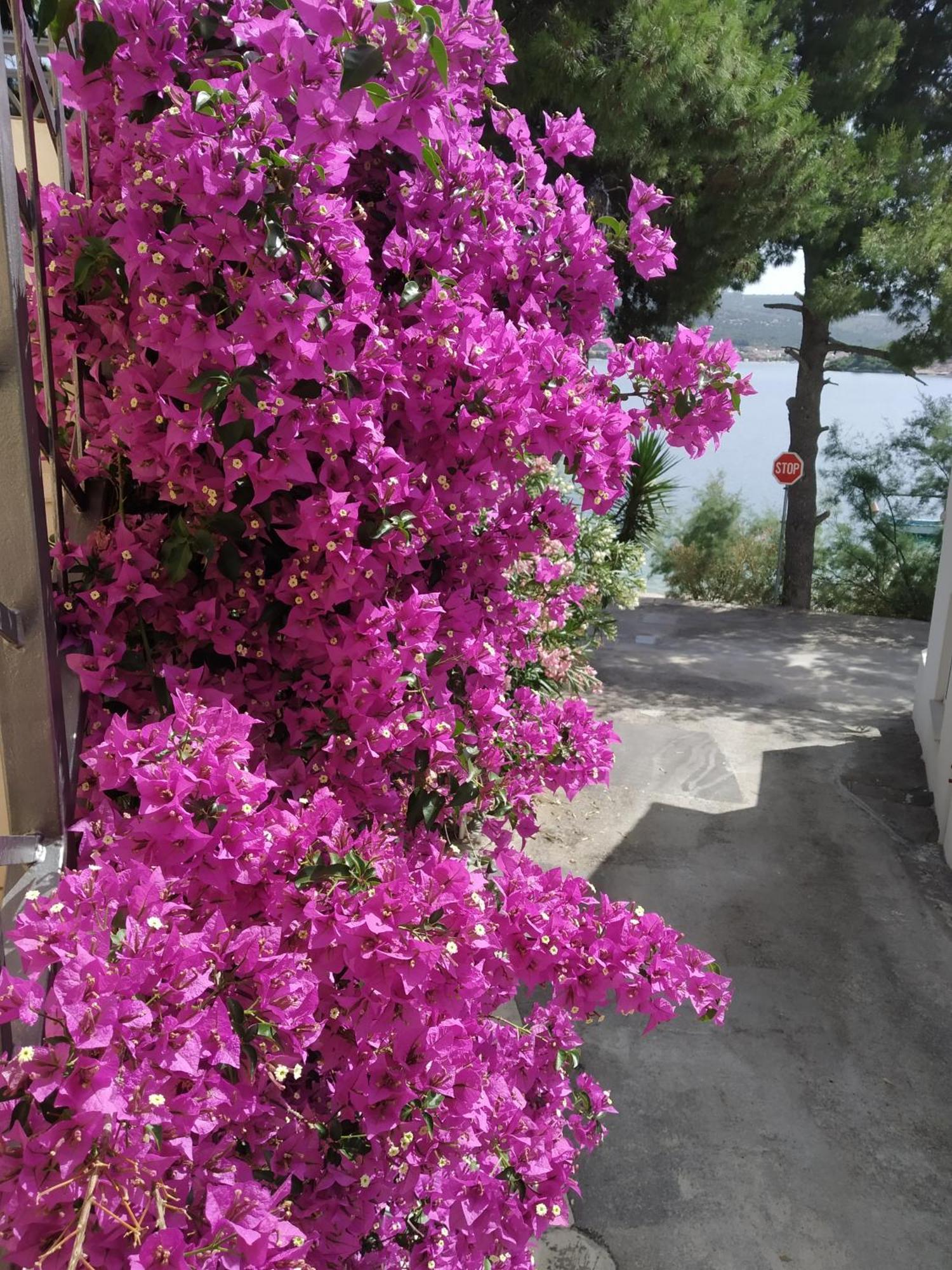 Holiday Home Milenka Рогозница Екстериор снимка