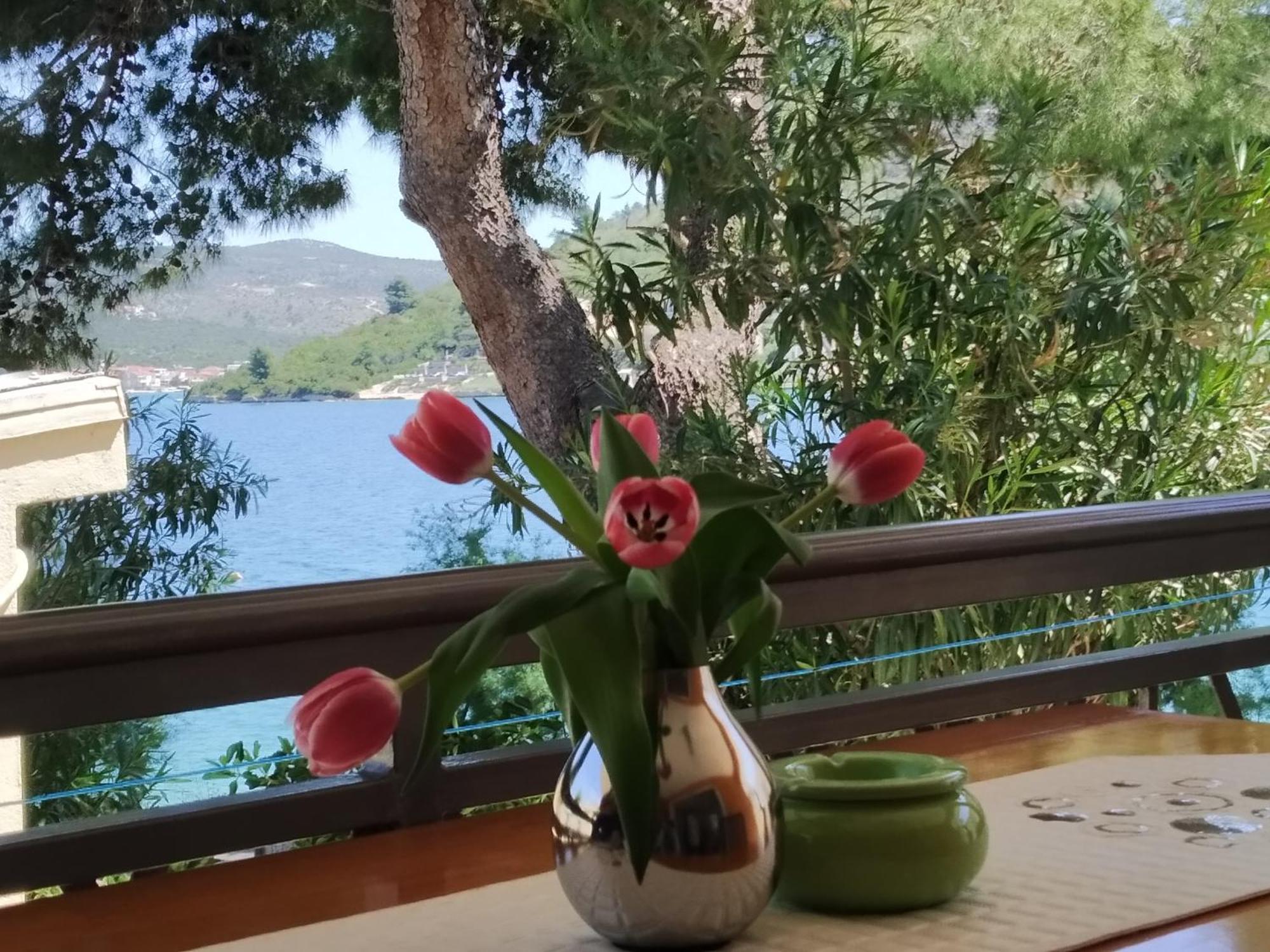 Holiday Home Milenka Рогозница Екстериор снимка